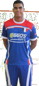 HENRIQUE ARAUJO