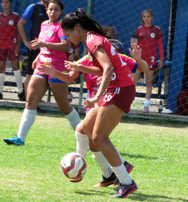 UFMA TERMINA A PRIMEIRA RODADA NA LIDERANÇA DO CAMPEONATO (ADVOCACIA MARANHENSE)